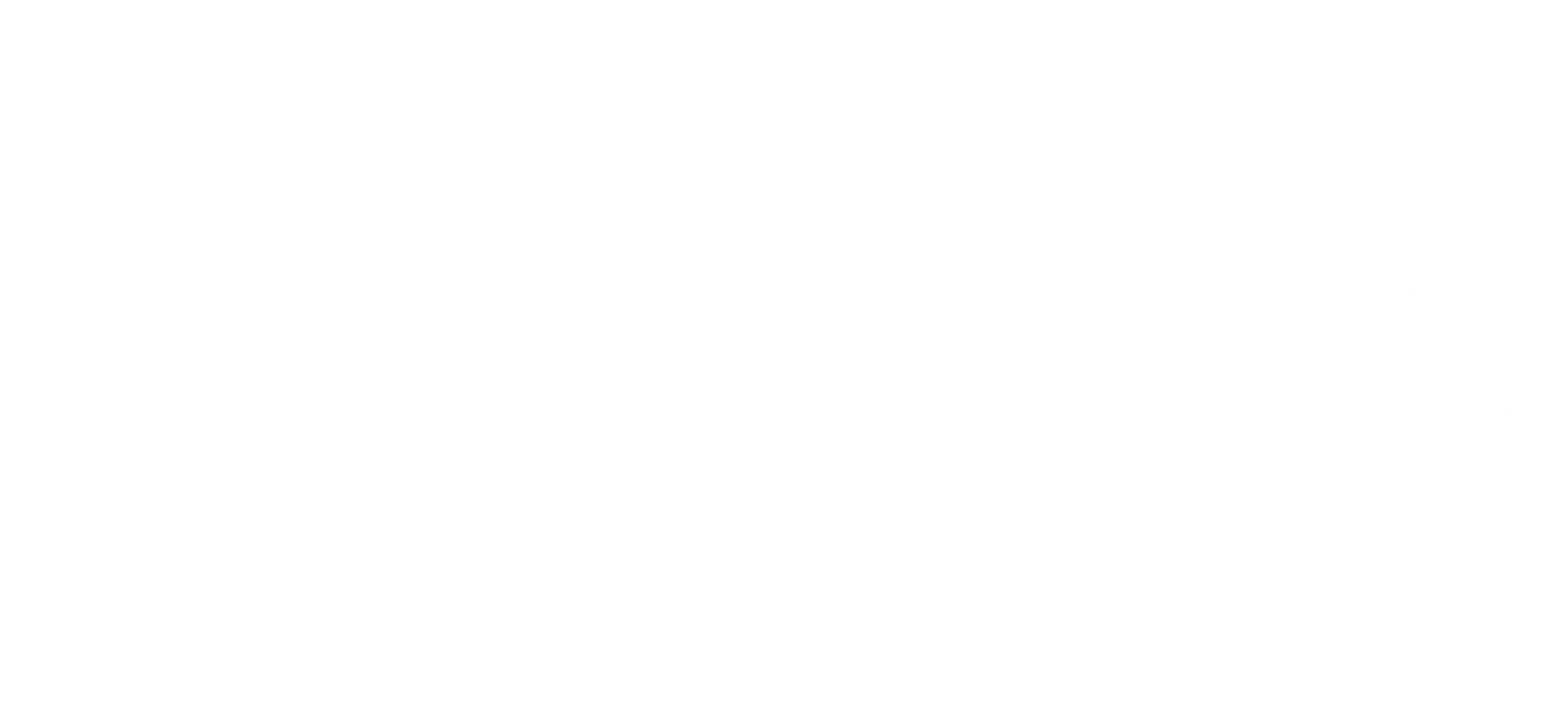 Raaga Music logo